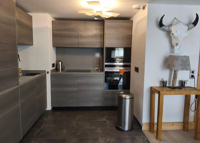 T3 Au Pied Des Pistes De Rochebrune Appartement *